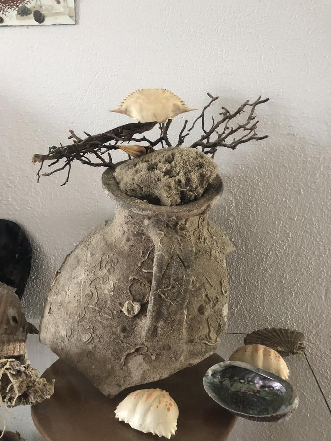 塔拉萨酒店 阿莫利亚尼岛 外观 照片