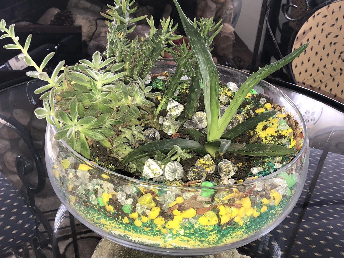 塔拉萨酒店 阿莫利亚尼岛 外观 照片