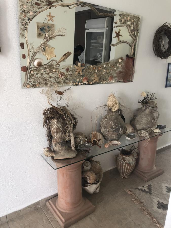 塔拉萨酒店 阿莫利亚尼岛 外观 照片
