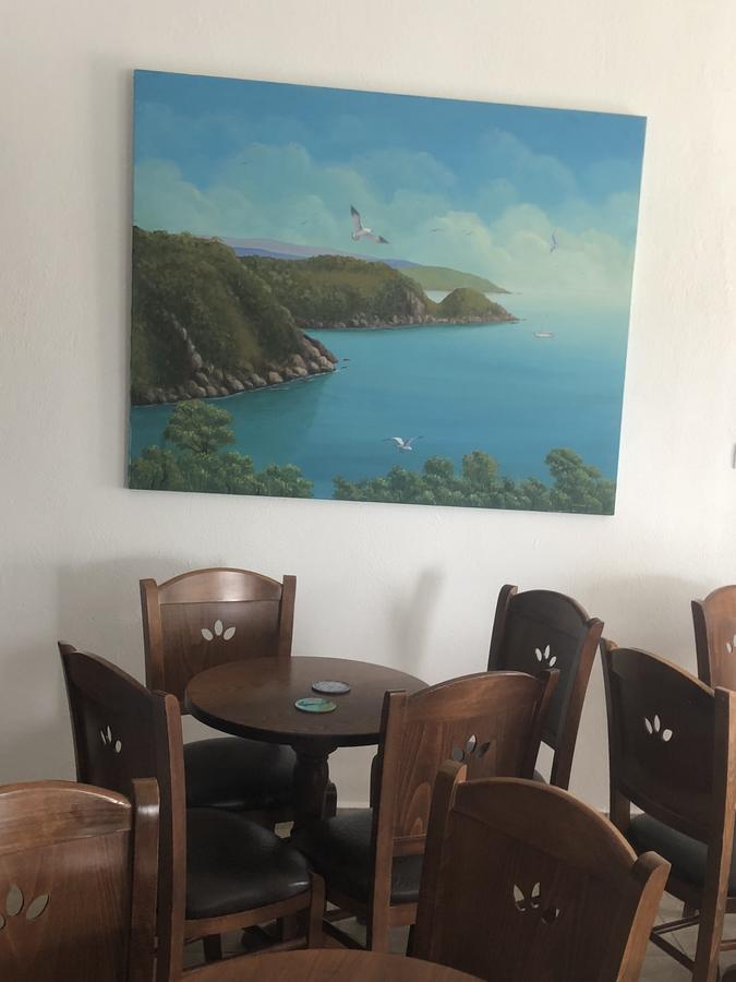 塔拉萨酒店 阿莫利亚尼岛 外观 照片